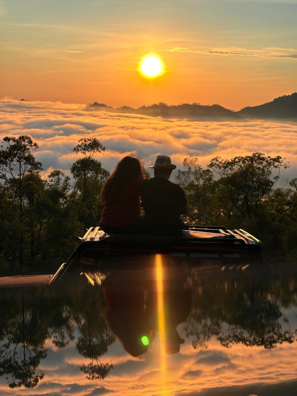 tree in a desert field
