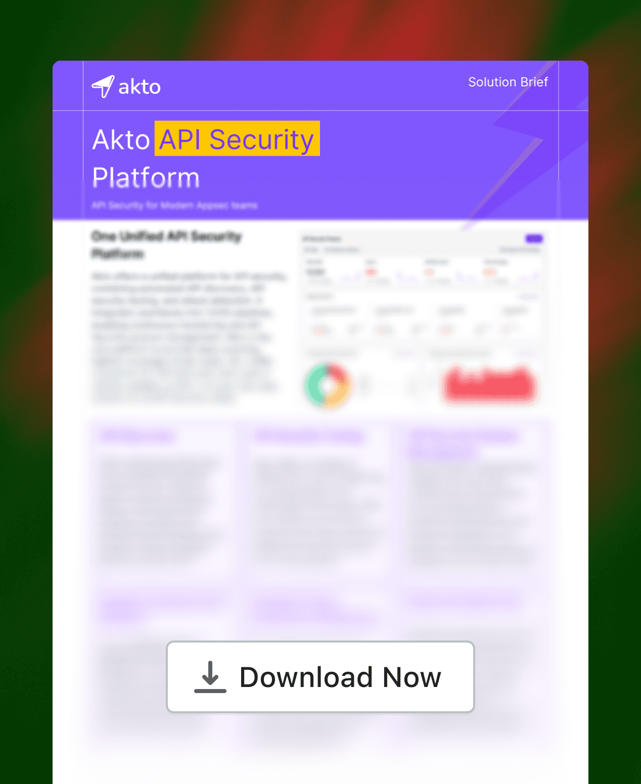 Akto API Security Solution Brief