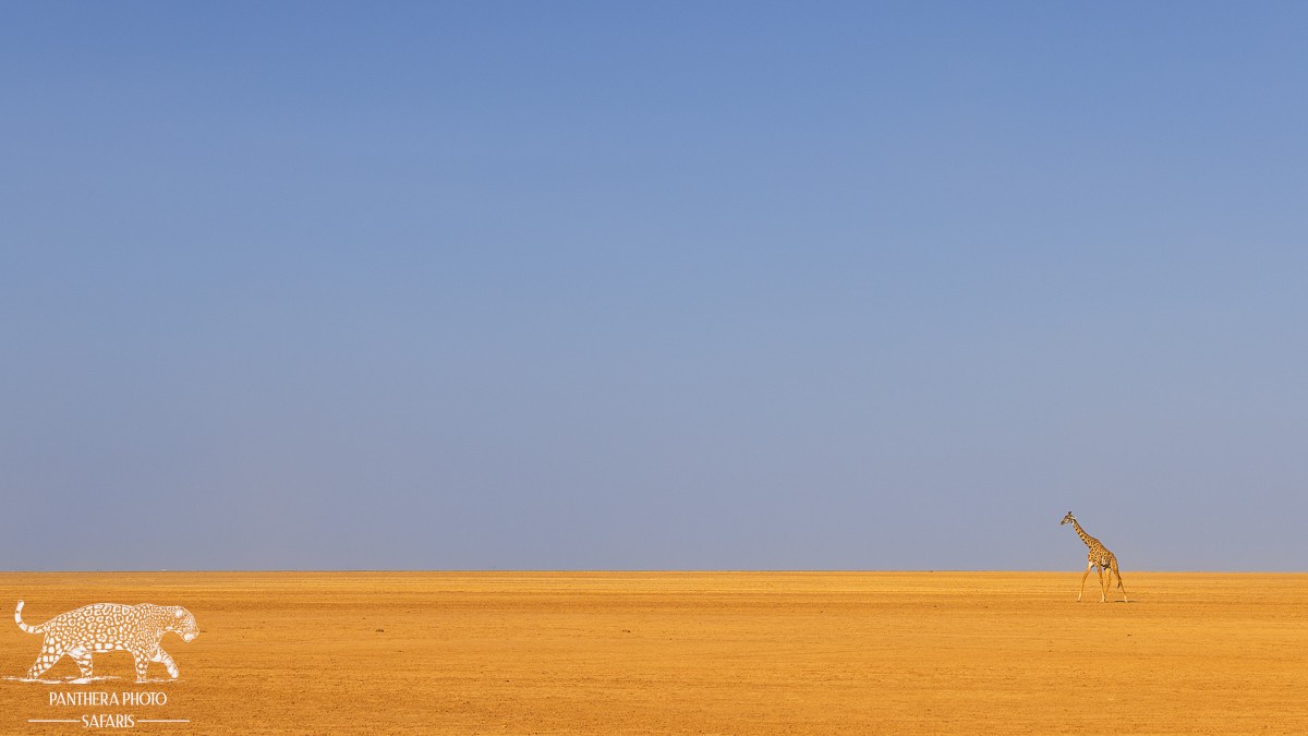 Amboseli Trip Report