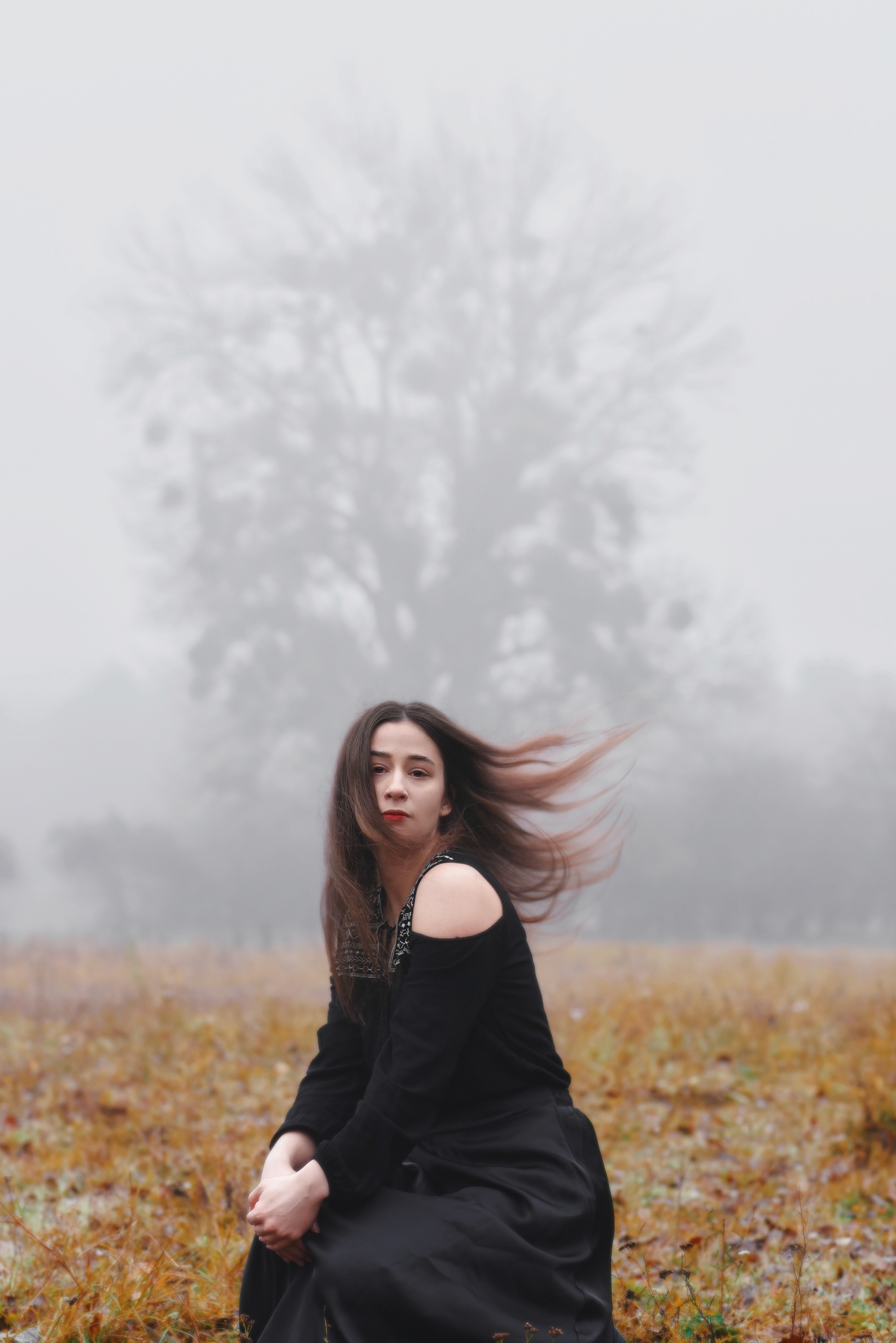 Portrait