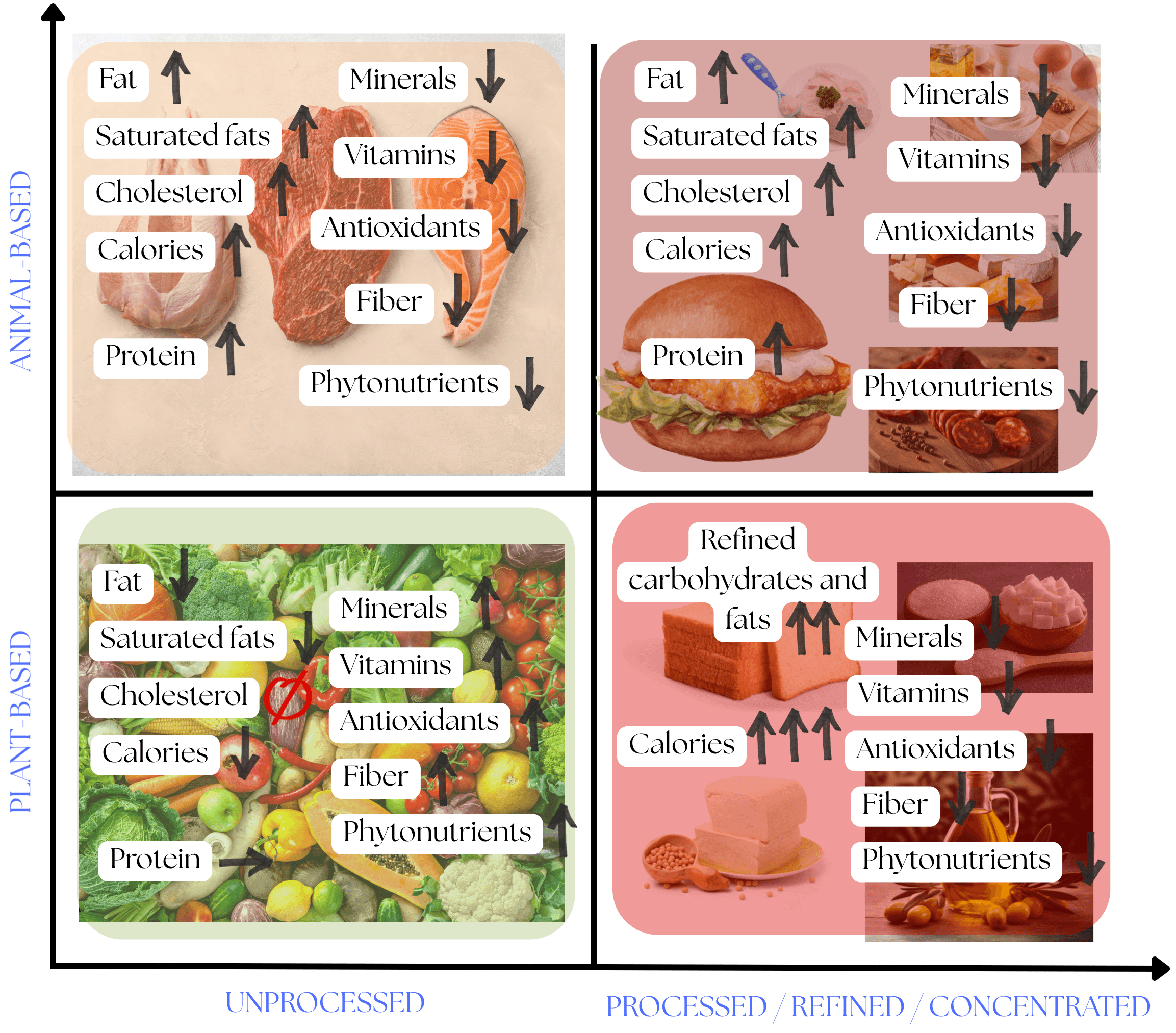 The nutritional values of our food we consume daily.