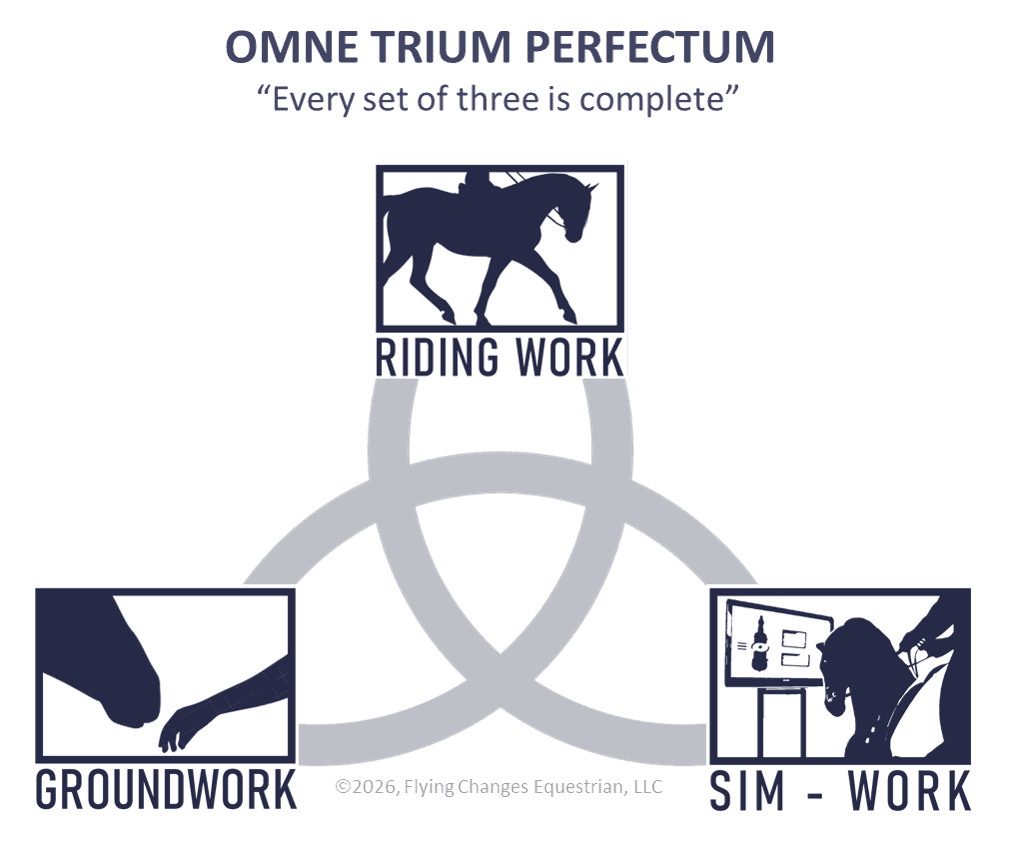 Graphic depicting ridden work, groundwork, and sumlator work as riding training trilogy