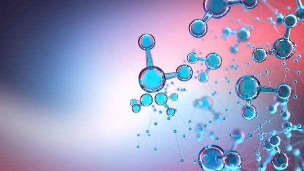 Phase II: Clinical Trials