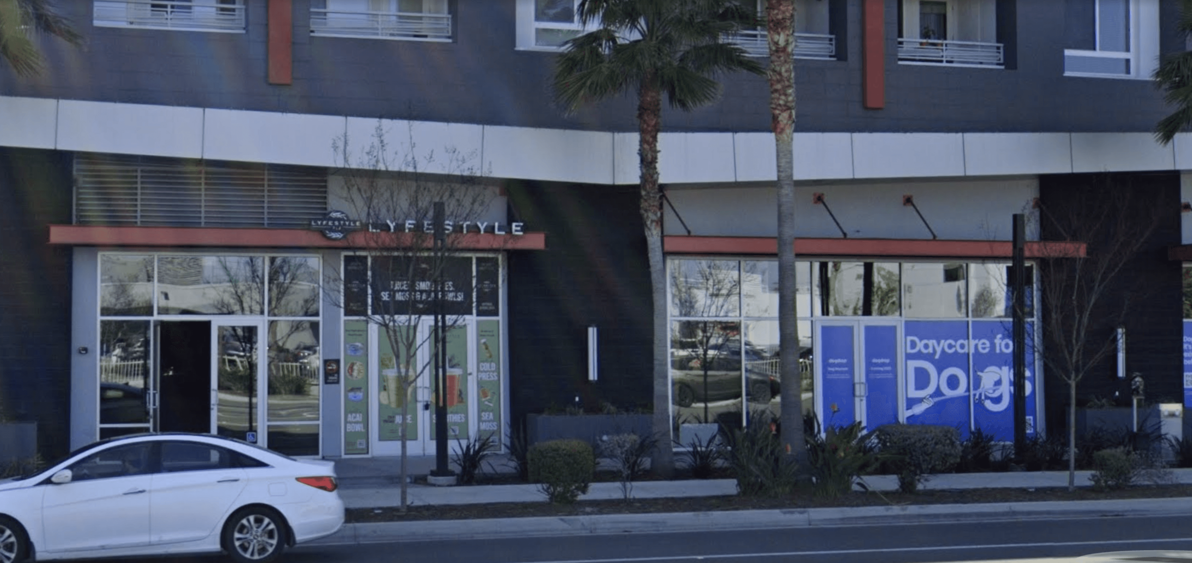 Dogdrop Fort Lauderdale dog daycare