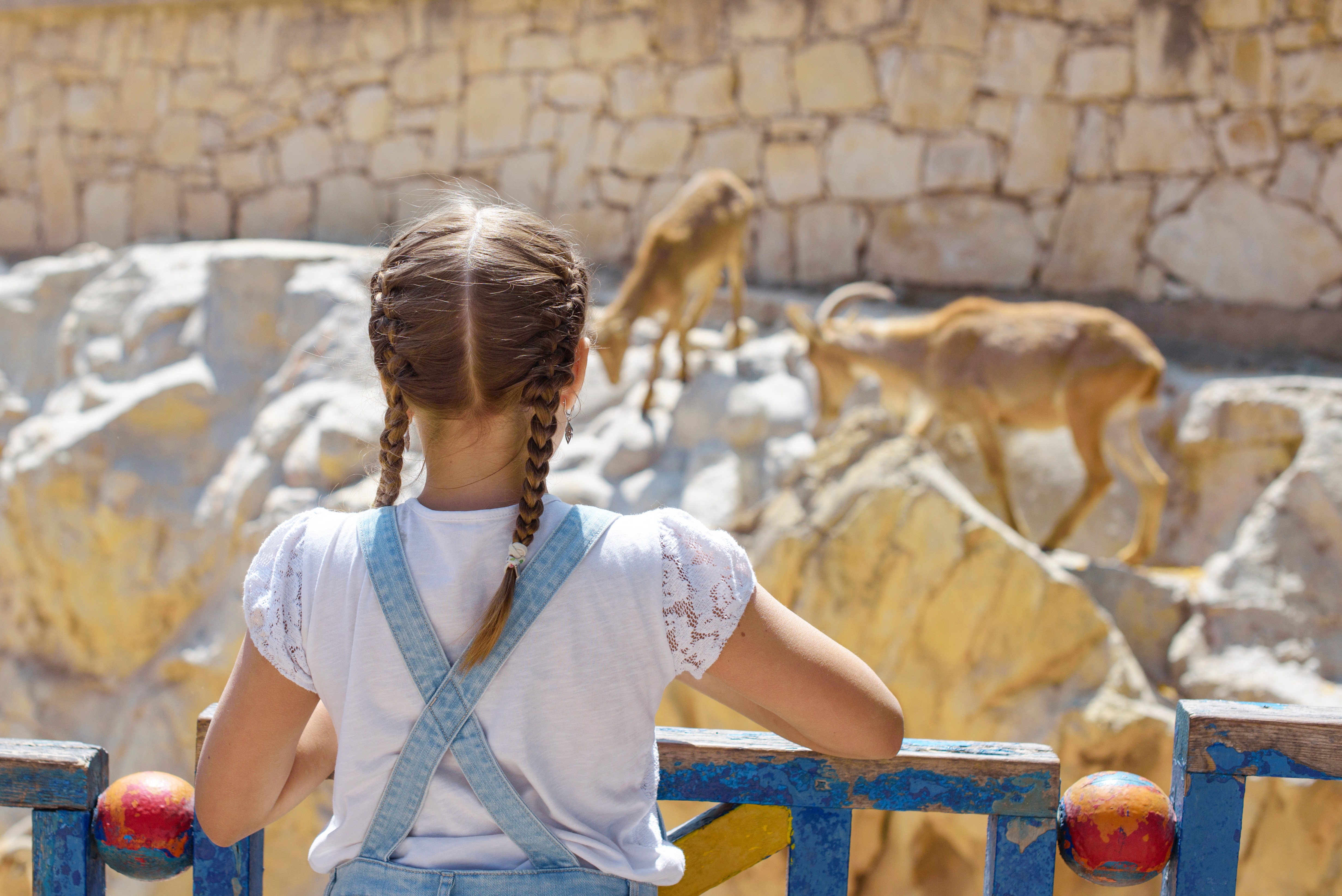 kind im Zoo