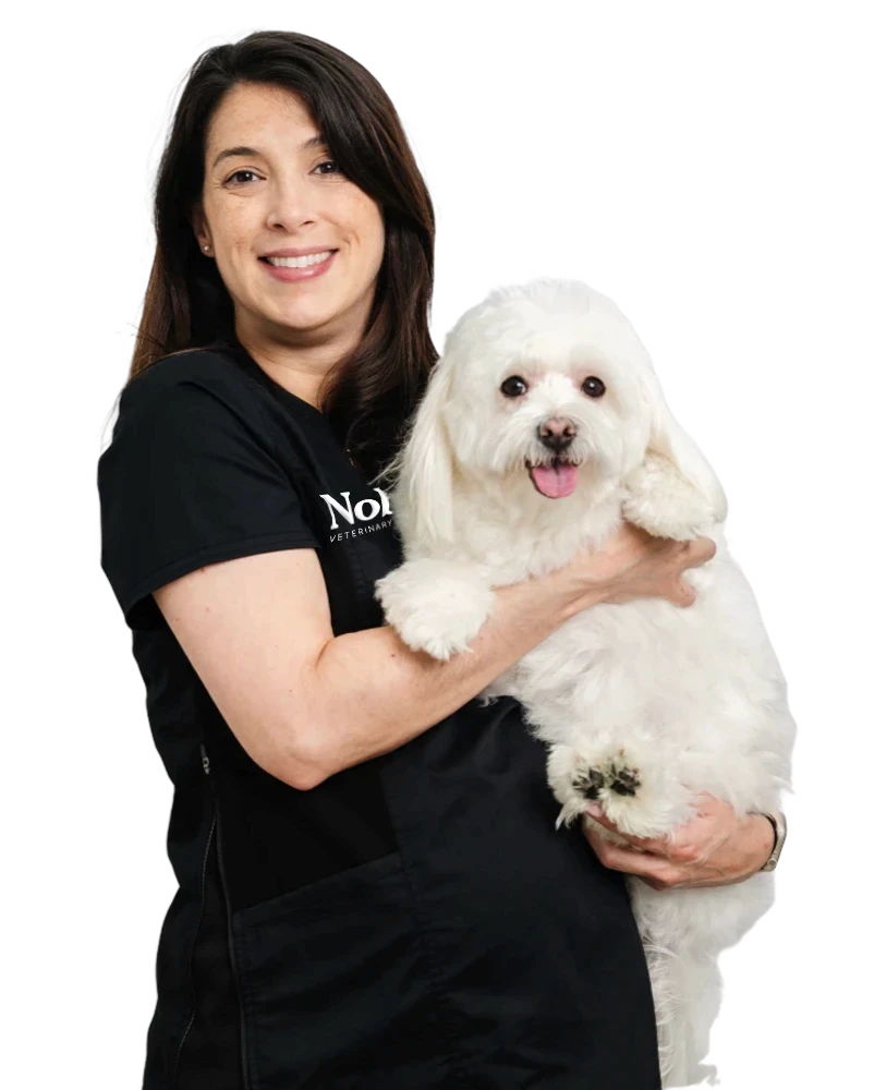 Dr. Leticia Maia