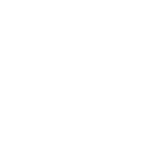 PE Logo