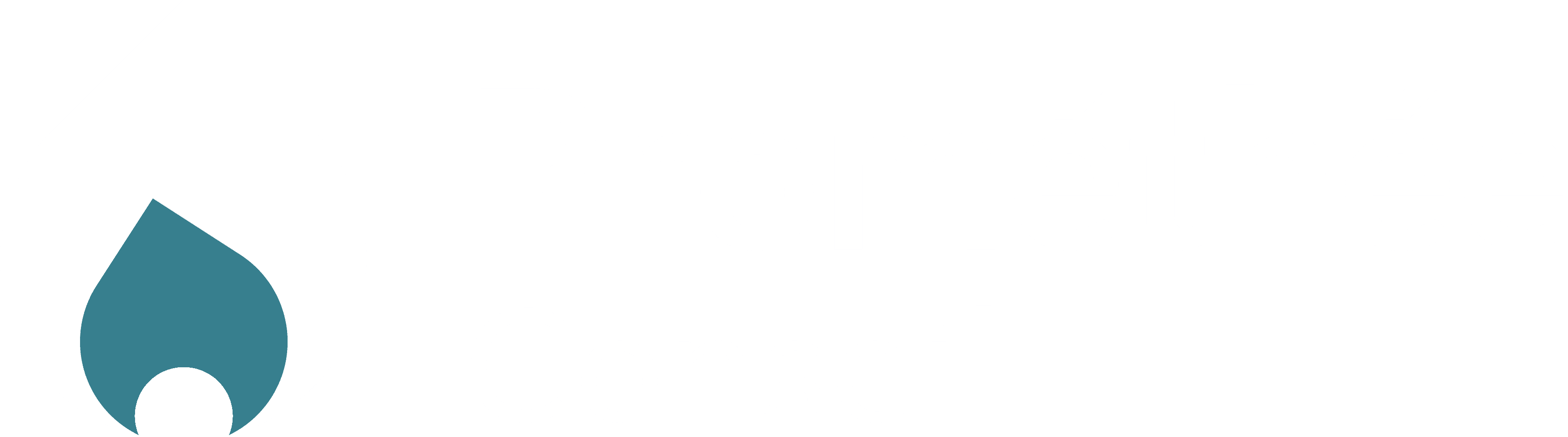 Eightball logo