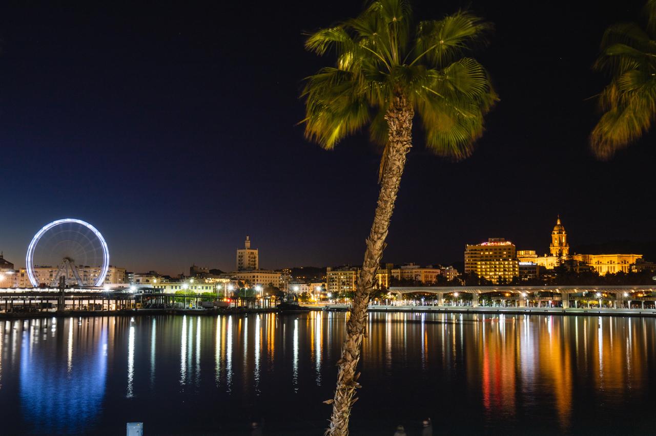 Málaga de noche con palmera y noria