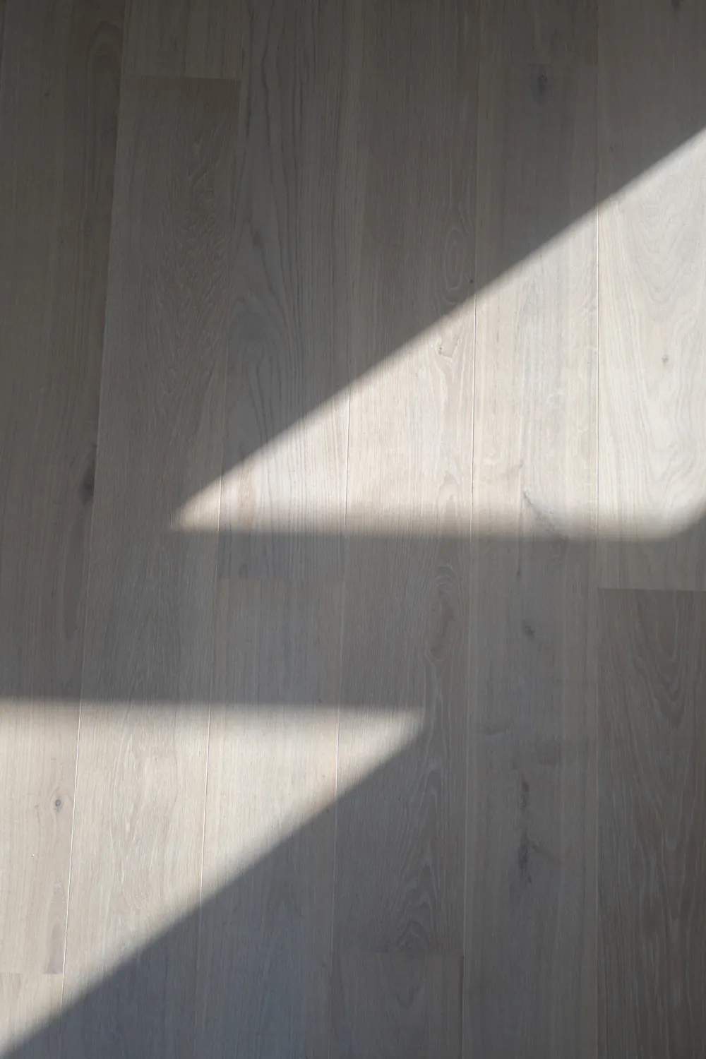 Light across the wooden floor at Ithomis 31