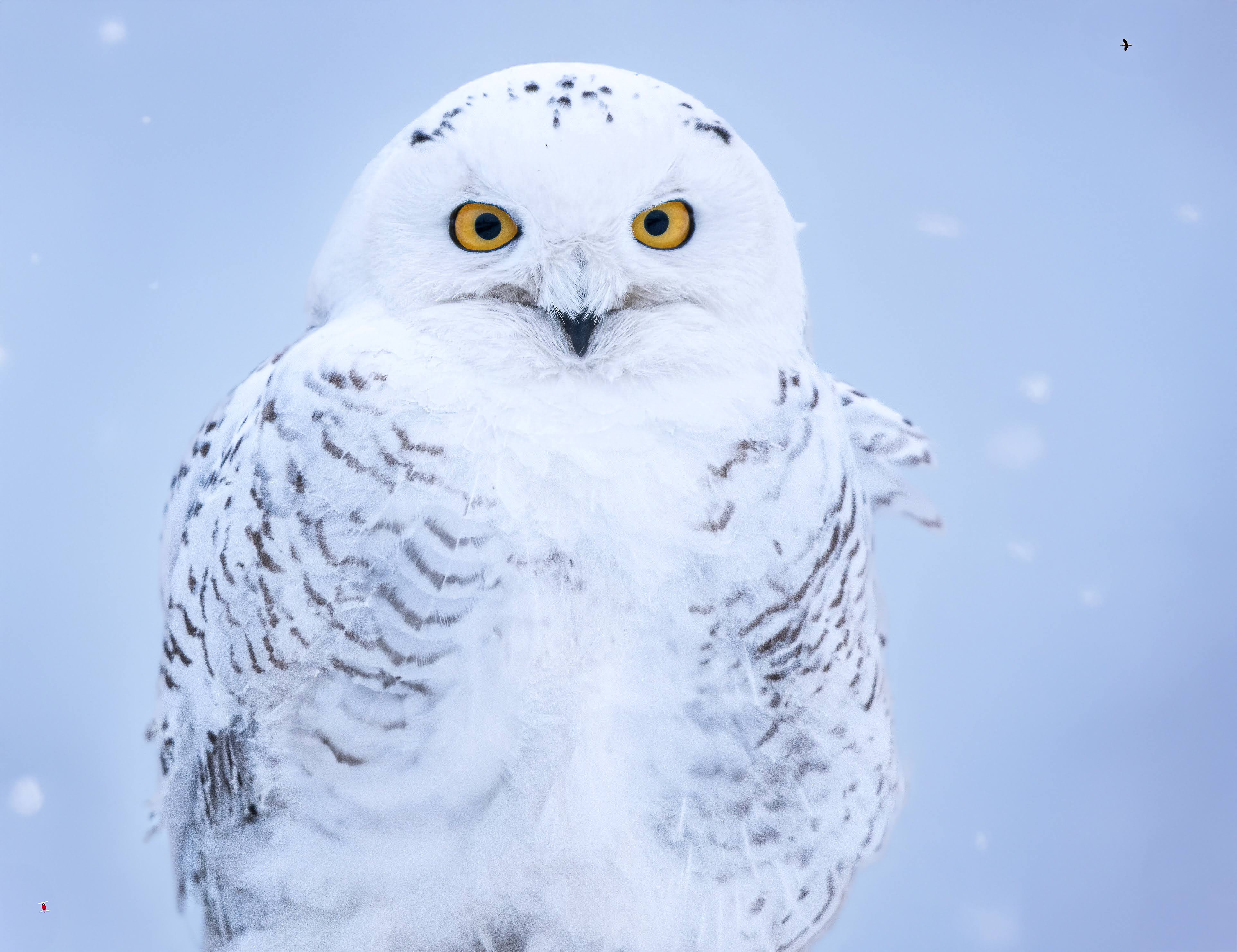 Photo of Irene in a neon scene