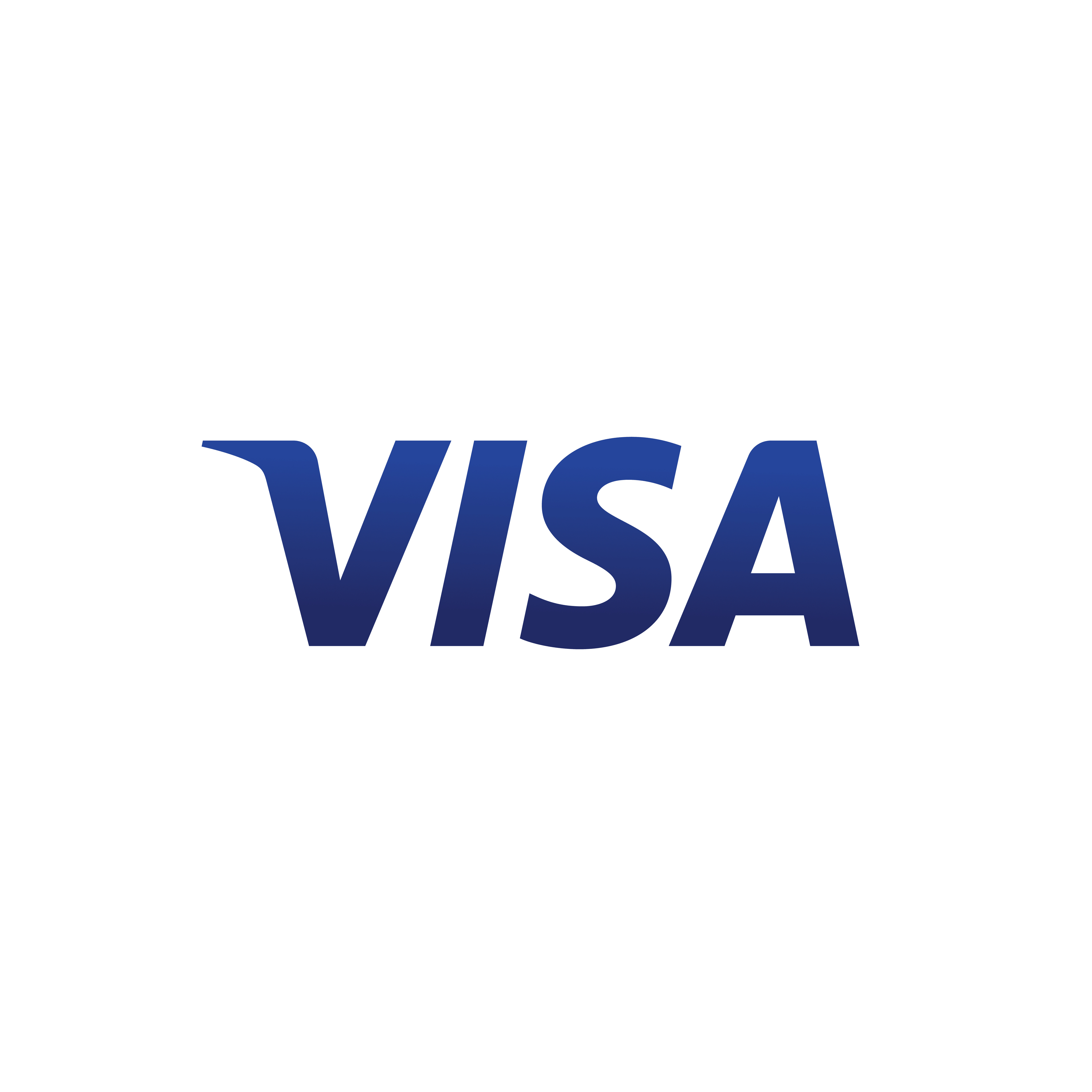 Visa Logo