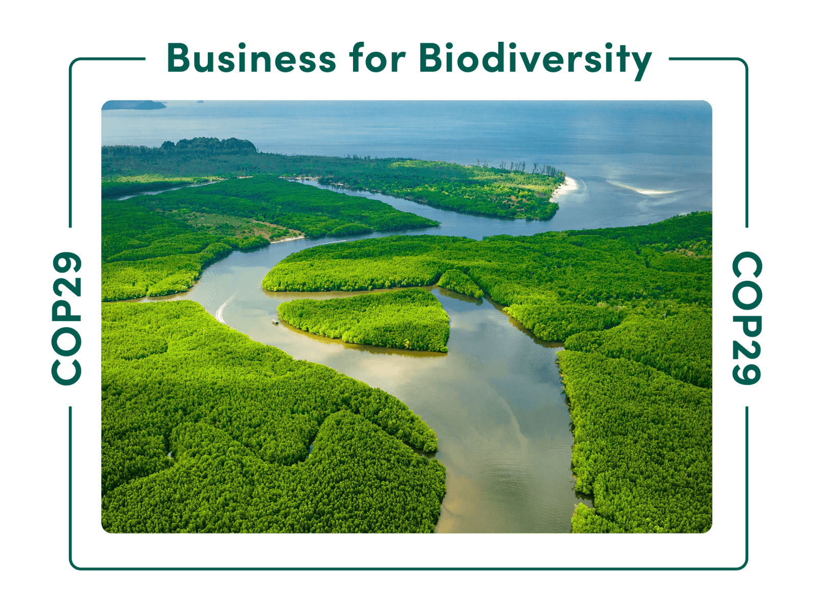 Business for Biodiversity