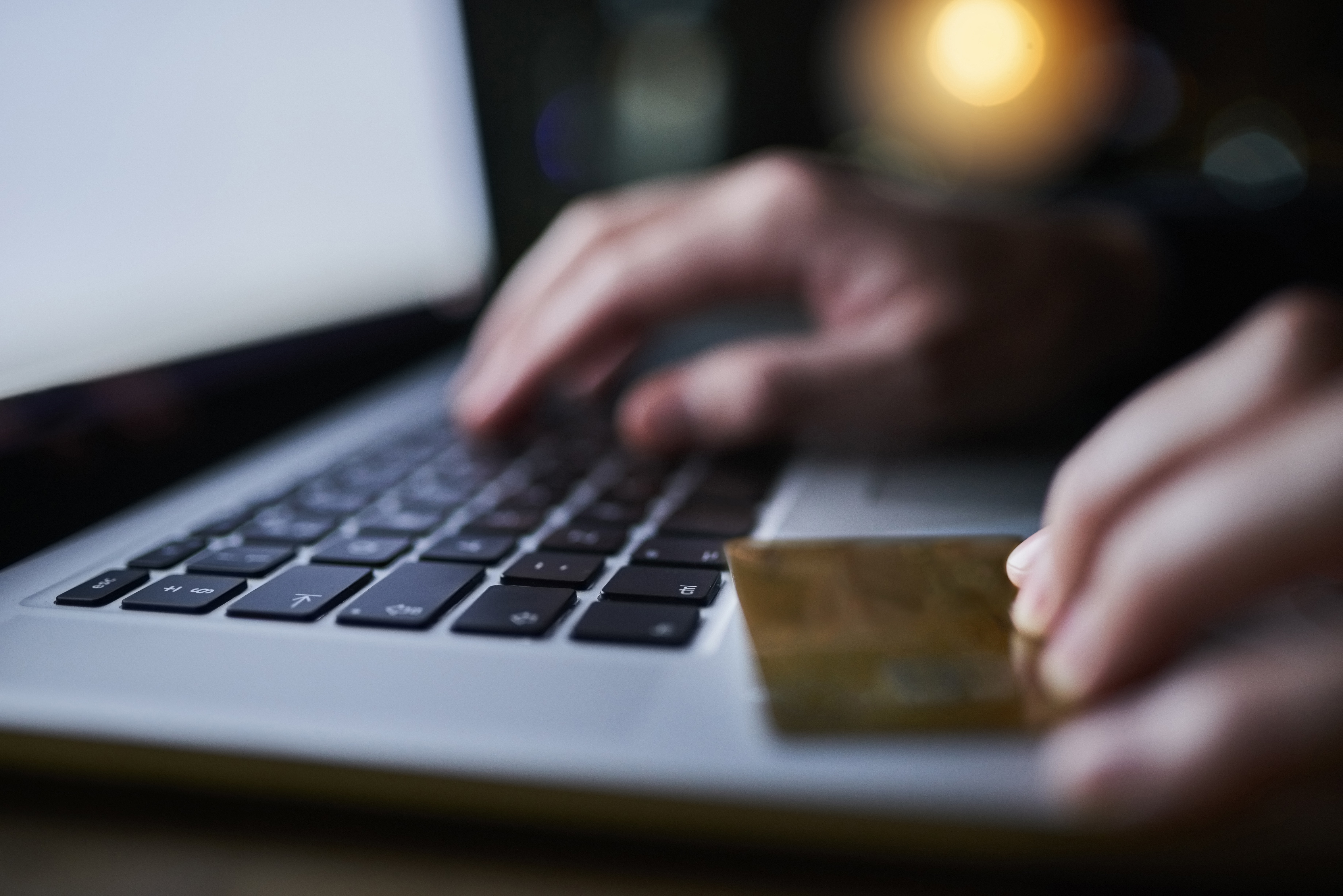 Hacker, laptop and credit card fraud for hacking