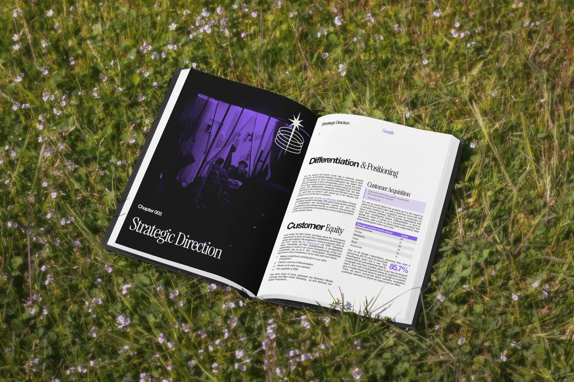 Guard Lock book mockup of internal pages