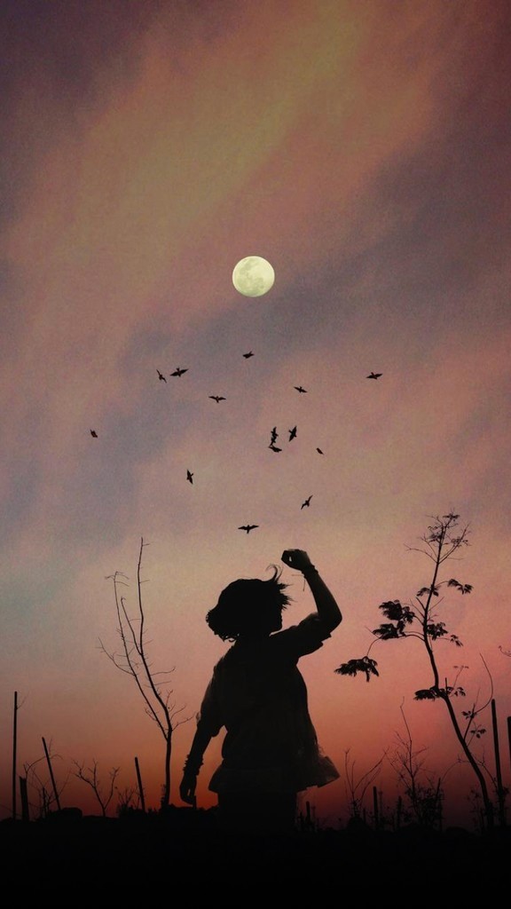 Nature Photography