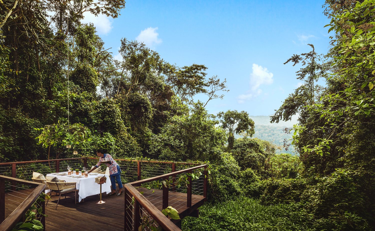 A treetop dinner table on a deck over rainforest canopy