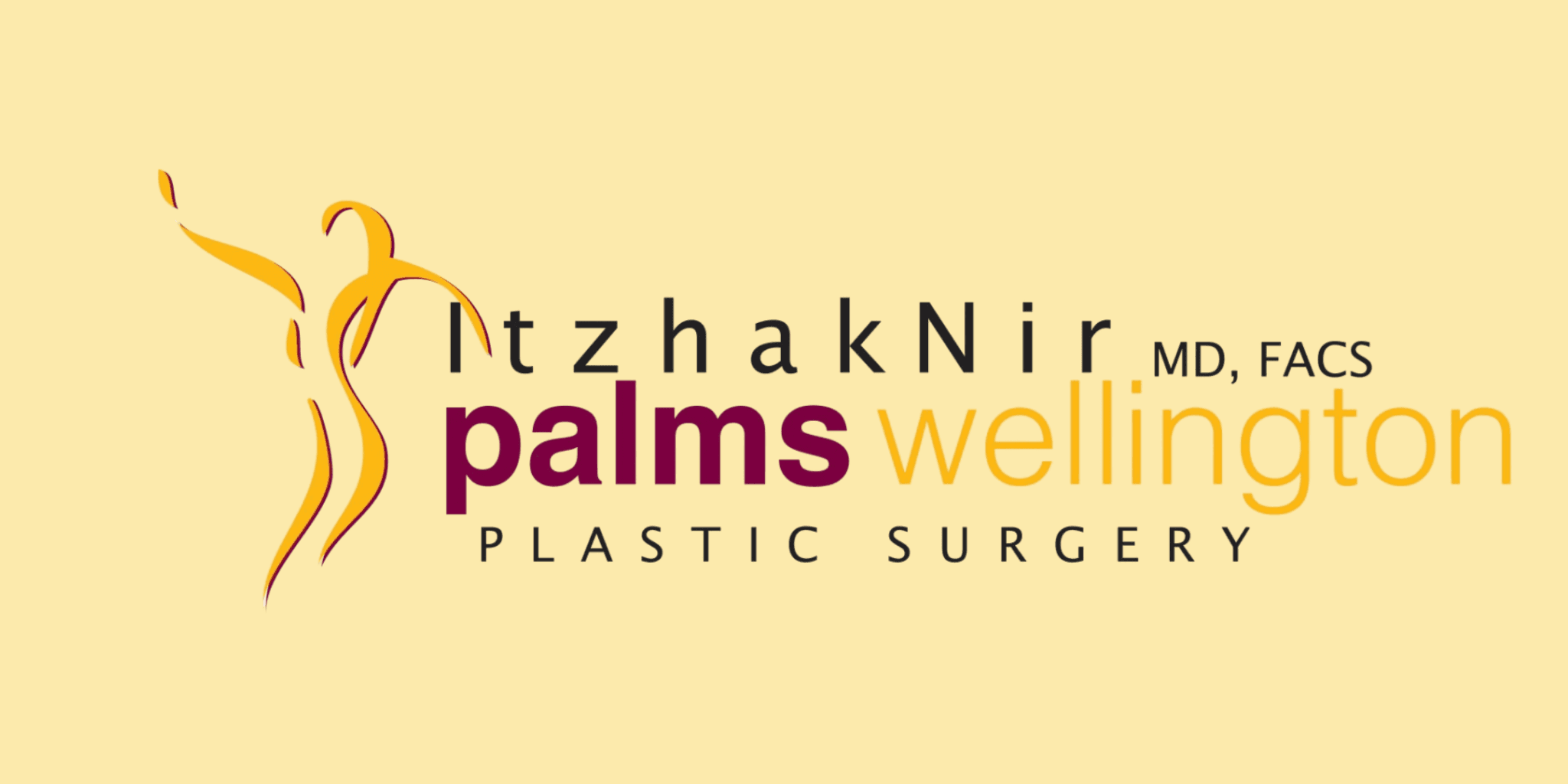 "Logo for Itzhak Nir MD, FACS Palms Wellington Plastic Surgery. Features a stylized human figure in orange, set against a light yellow background."