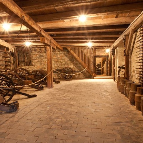 福尔赫滕施泰因城堡：入场券 + 导游陪同参观福尔赫滕施泰因的门票