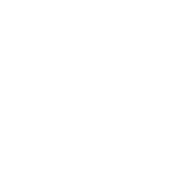X Icon