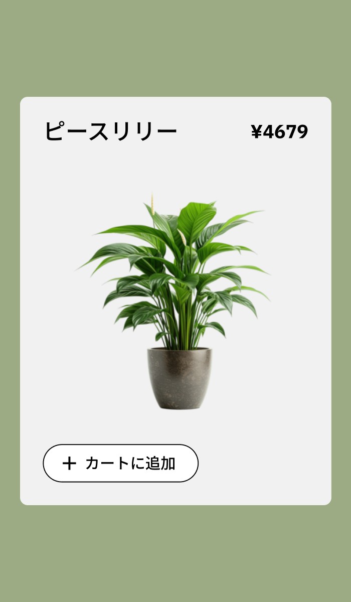 Product interface design exploration for a digital experience