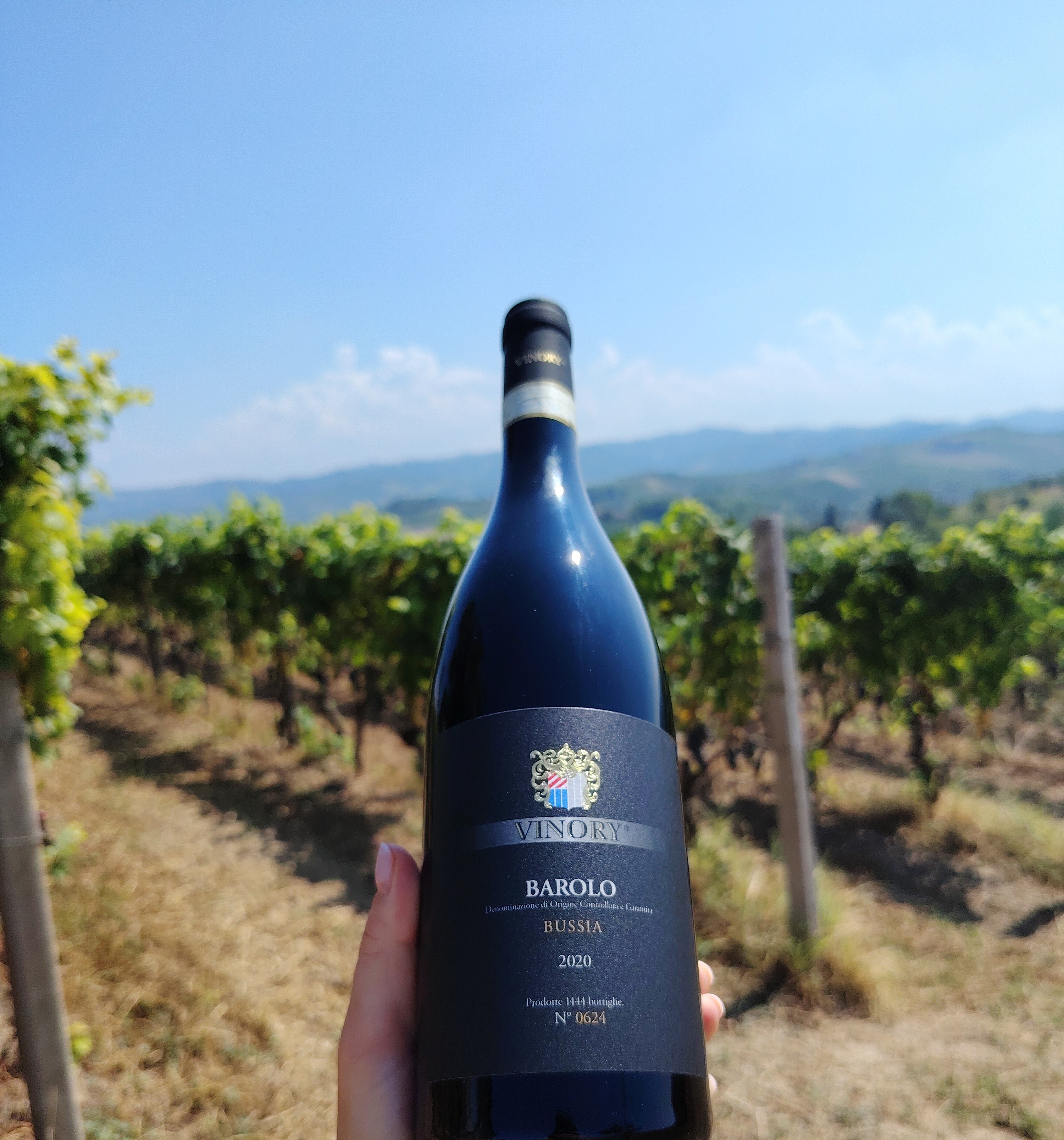 Barolo "Bussia"