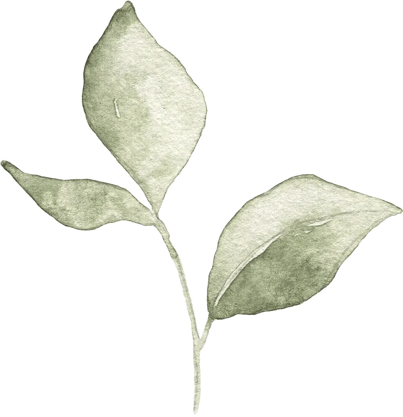 Watercolor twig_03