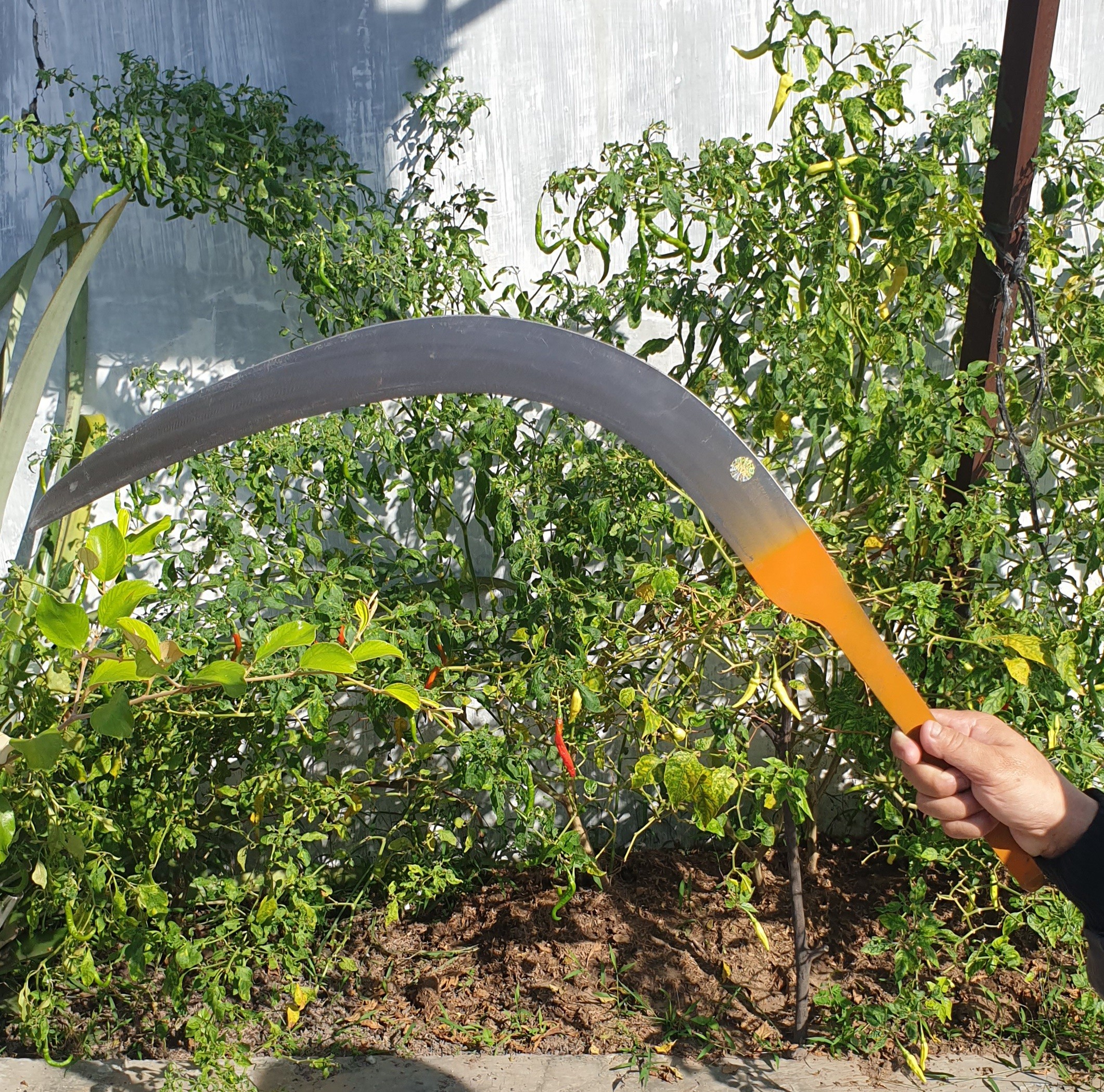 Blue modern car in a industrial warehouse