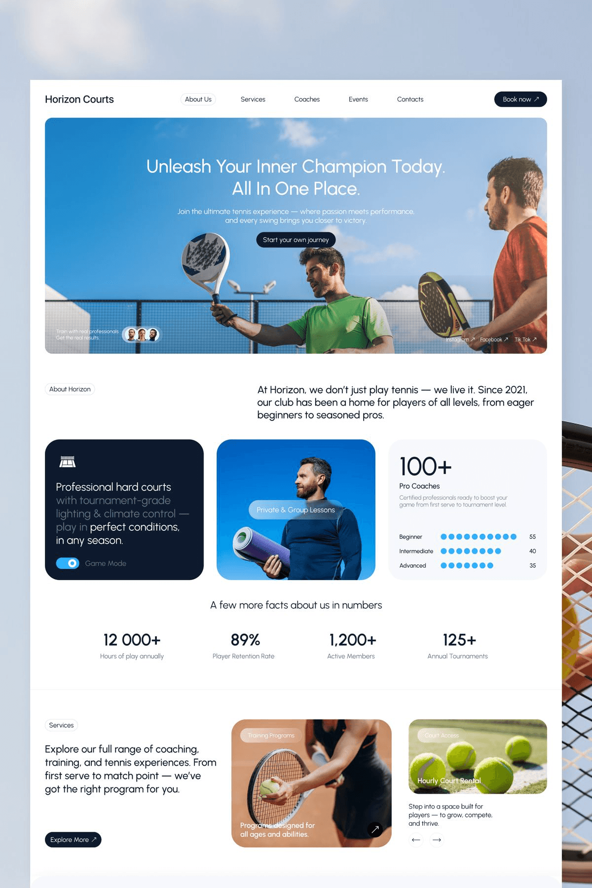 White sand dunes with a distant mountain range.