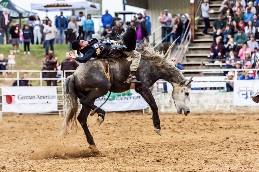Cowboy holding a rigging while riding a bucking horse during a bareback bronc riding competition.