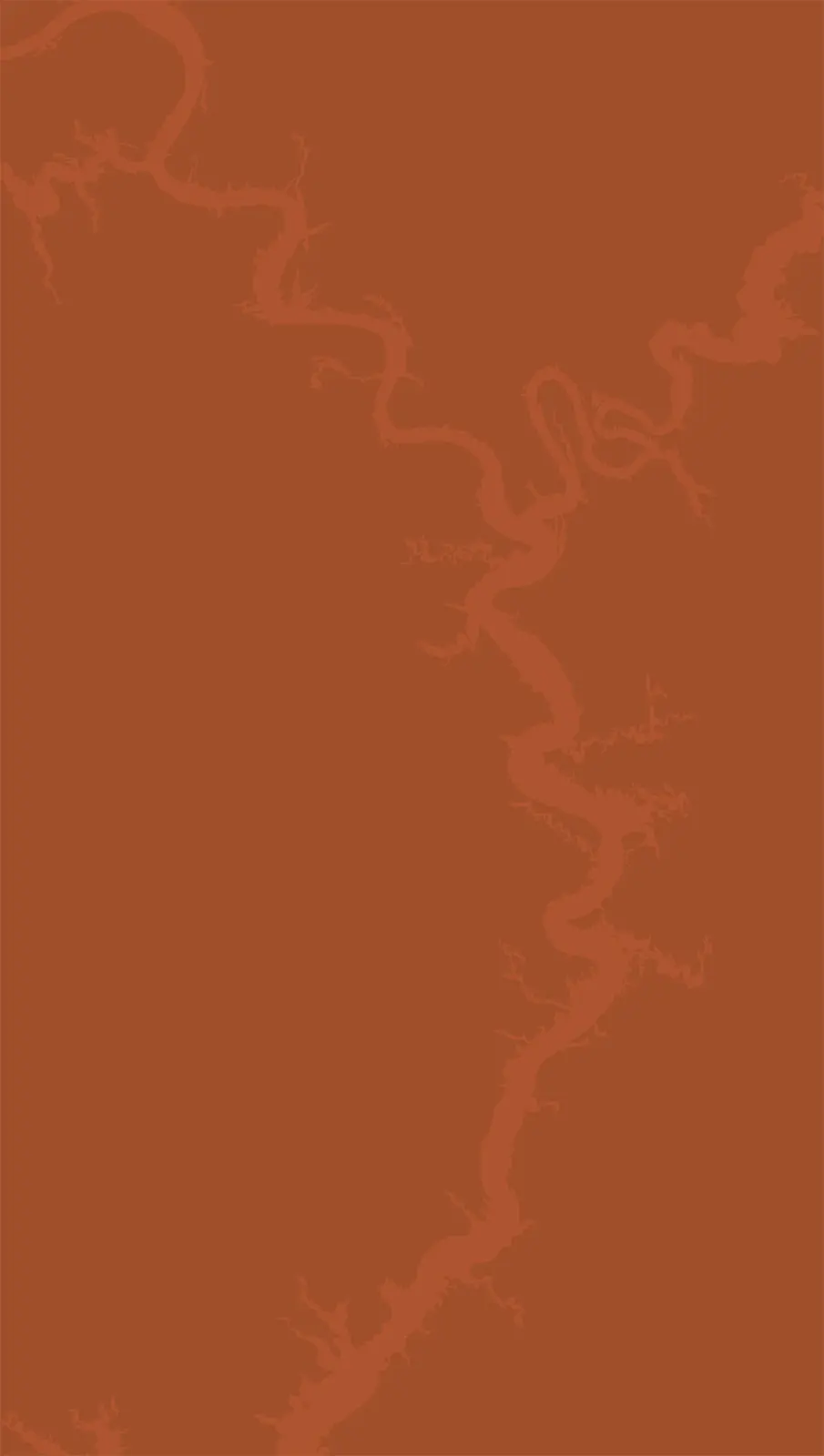 arizona map pattern on a beige background