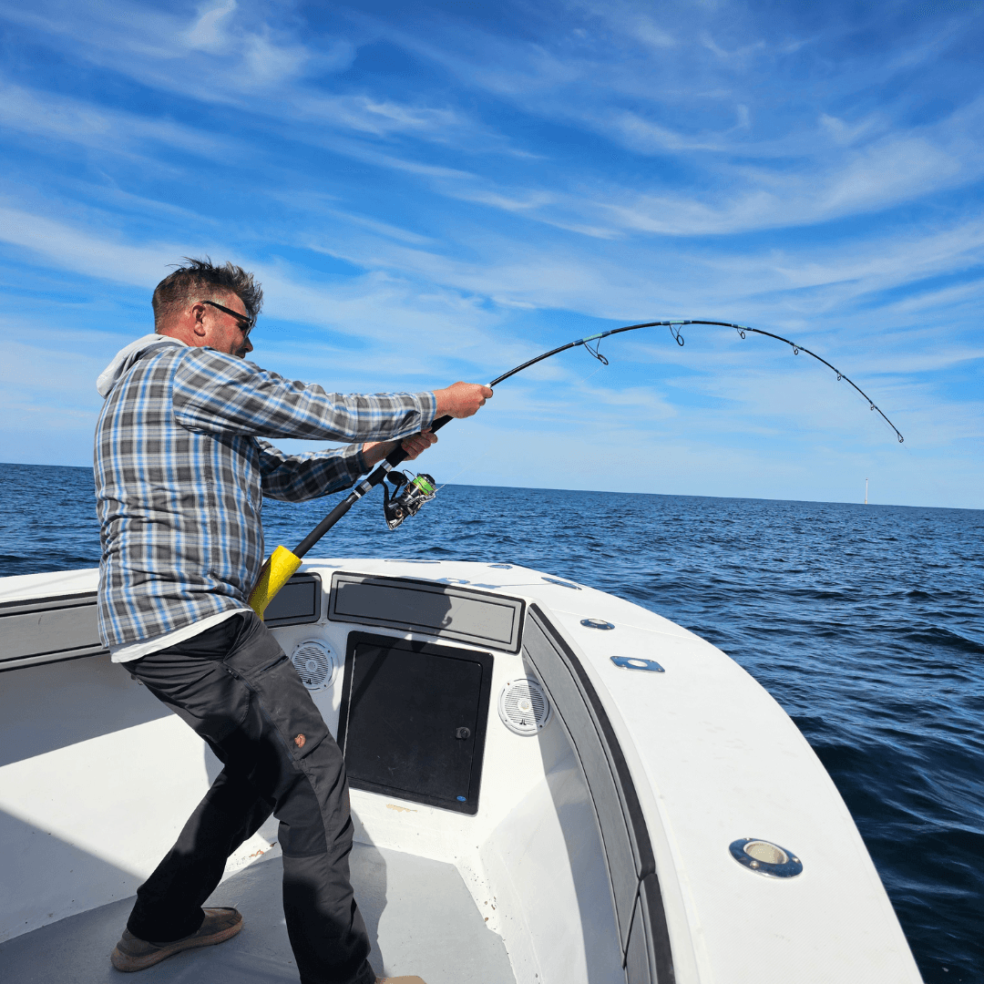 Cape Cod, stripers, striped bass