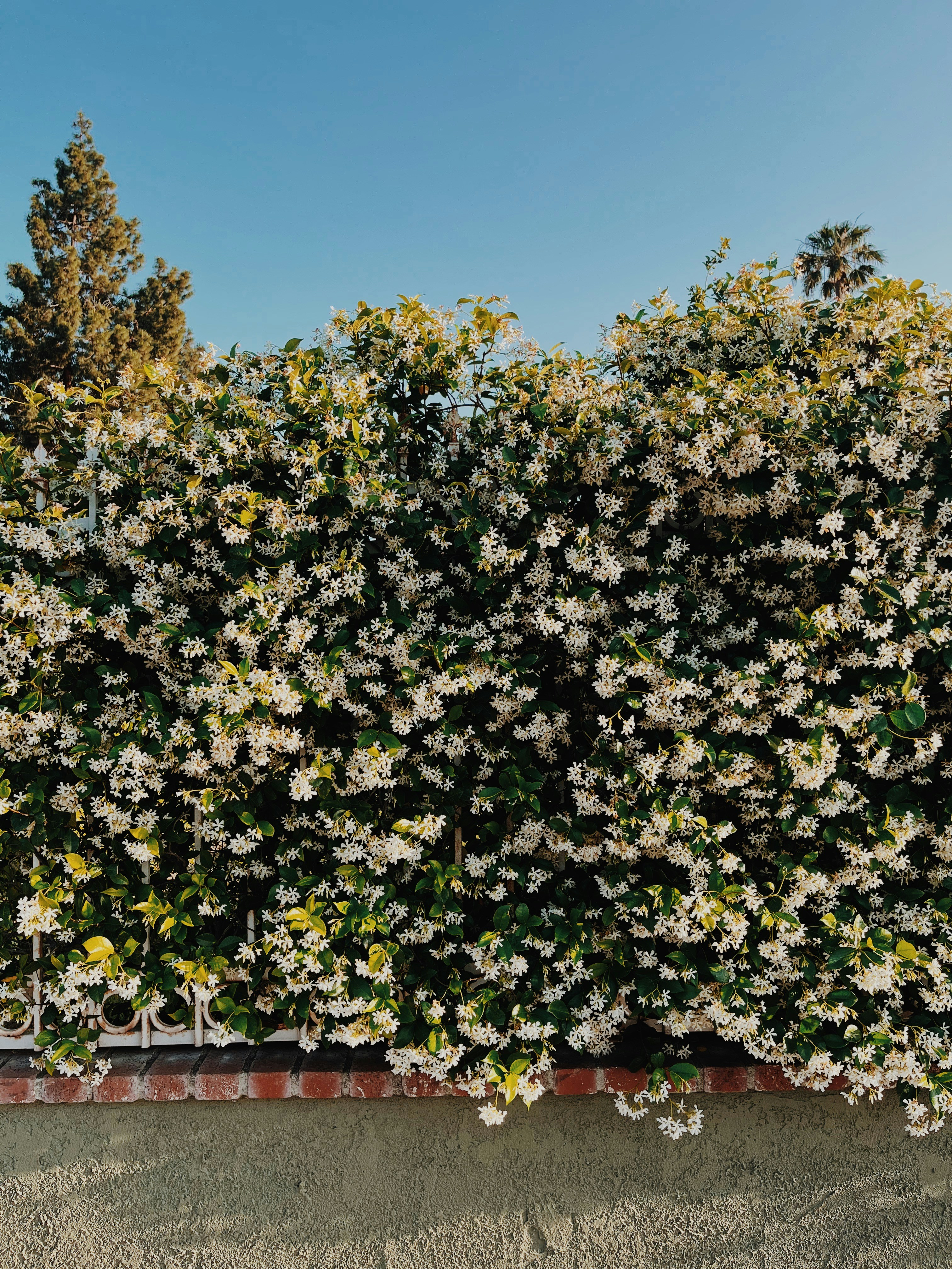 Online Therapy in Reseda