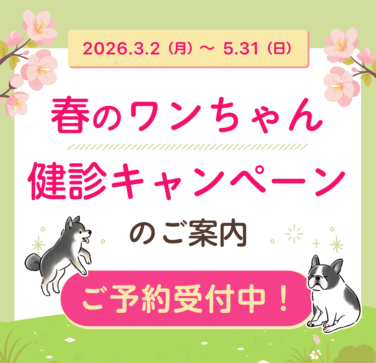 春の健康診断キャンペーン（犬の健診・狂犬病注射・フィラリア抗原検査・尿検査）