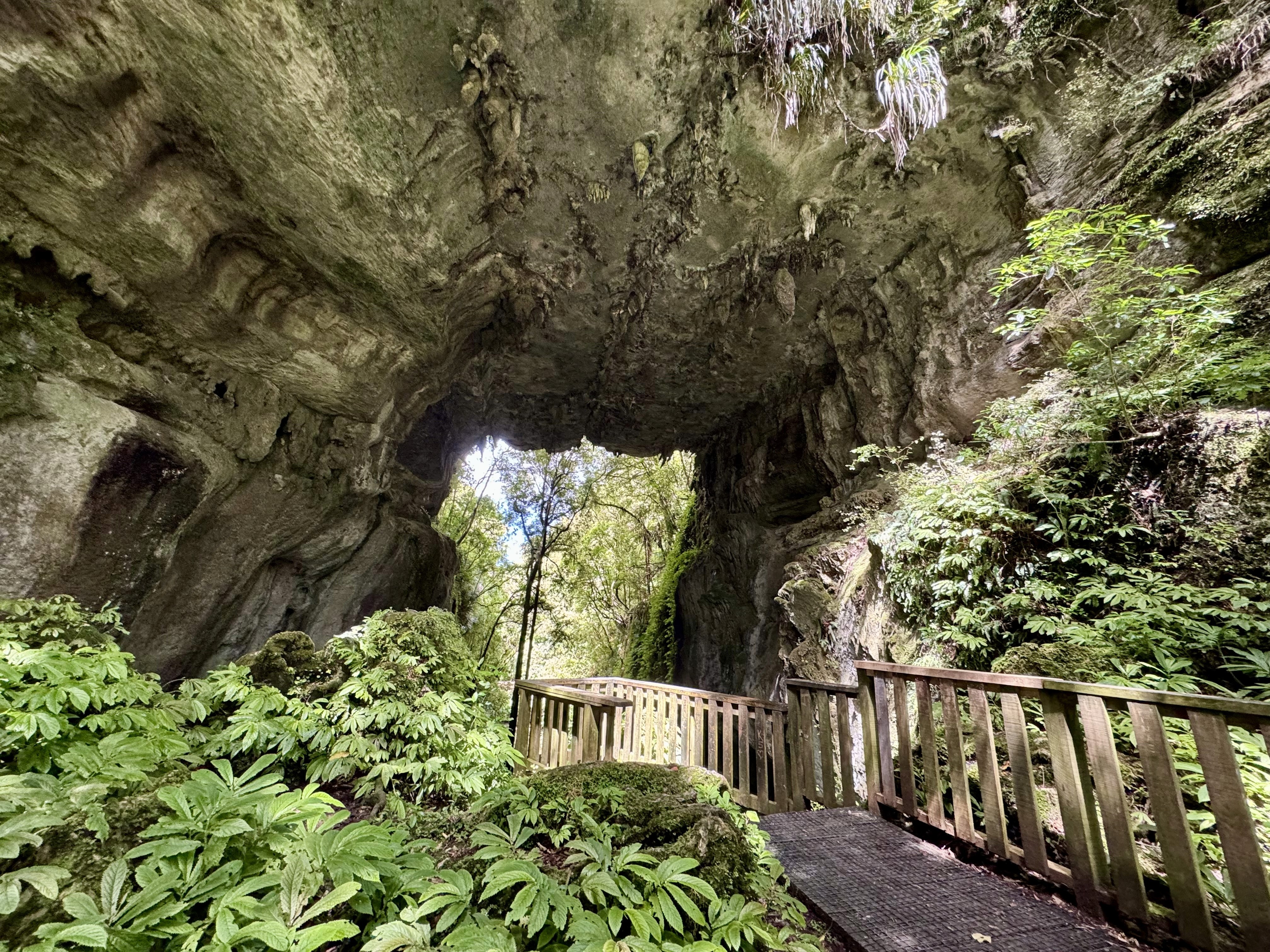 The Mangapohue Natural Bridge and the viewing platform
