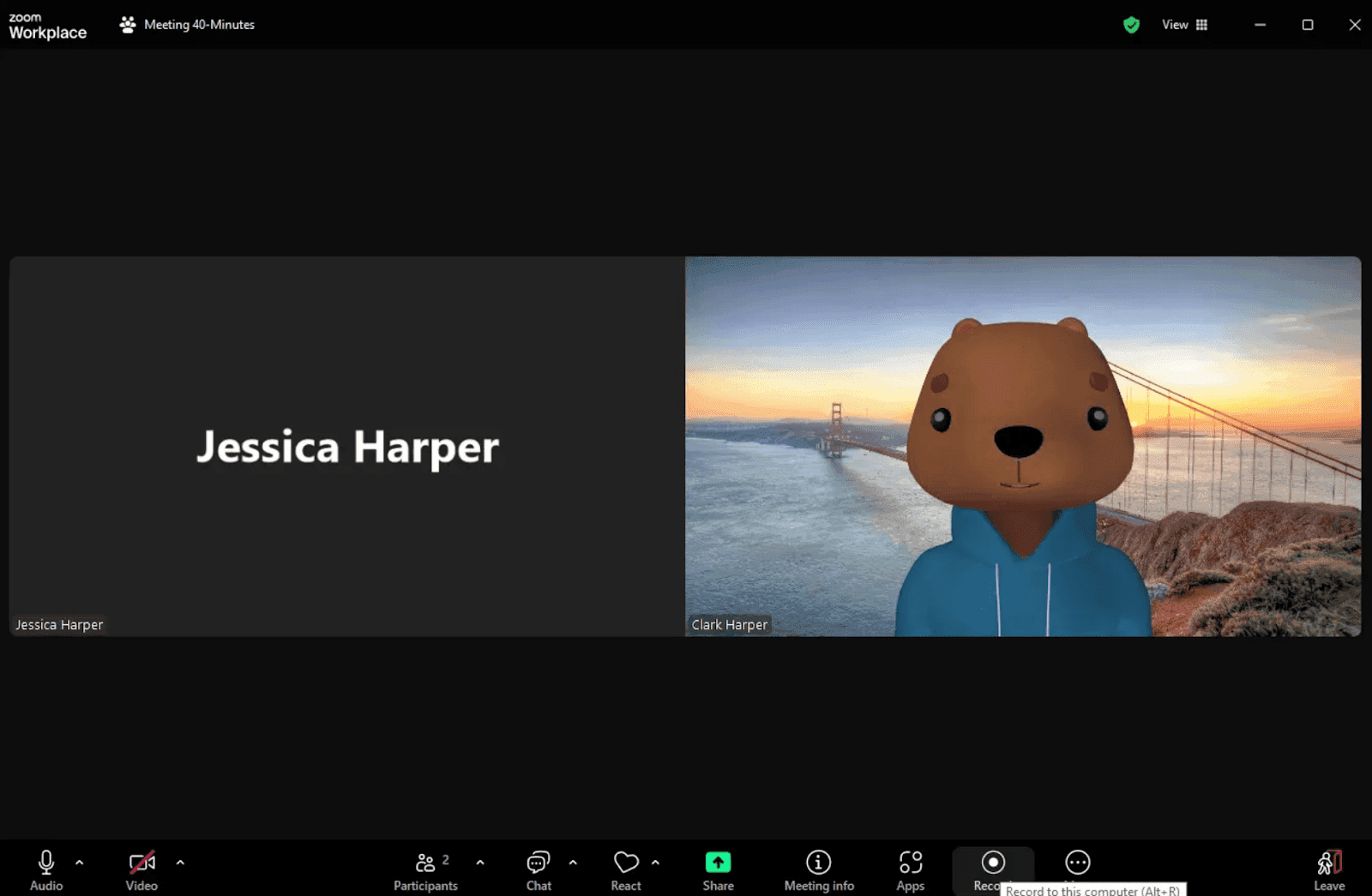 Zoom audio conferencing interface