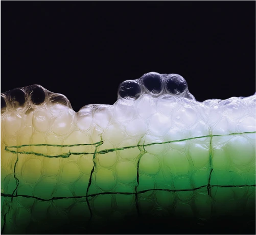 Abstract bubble wrap texture with dark netting.