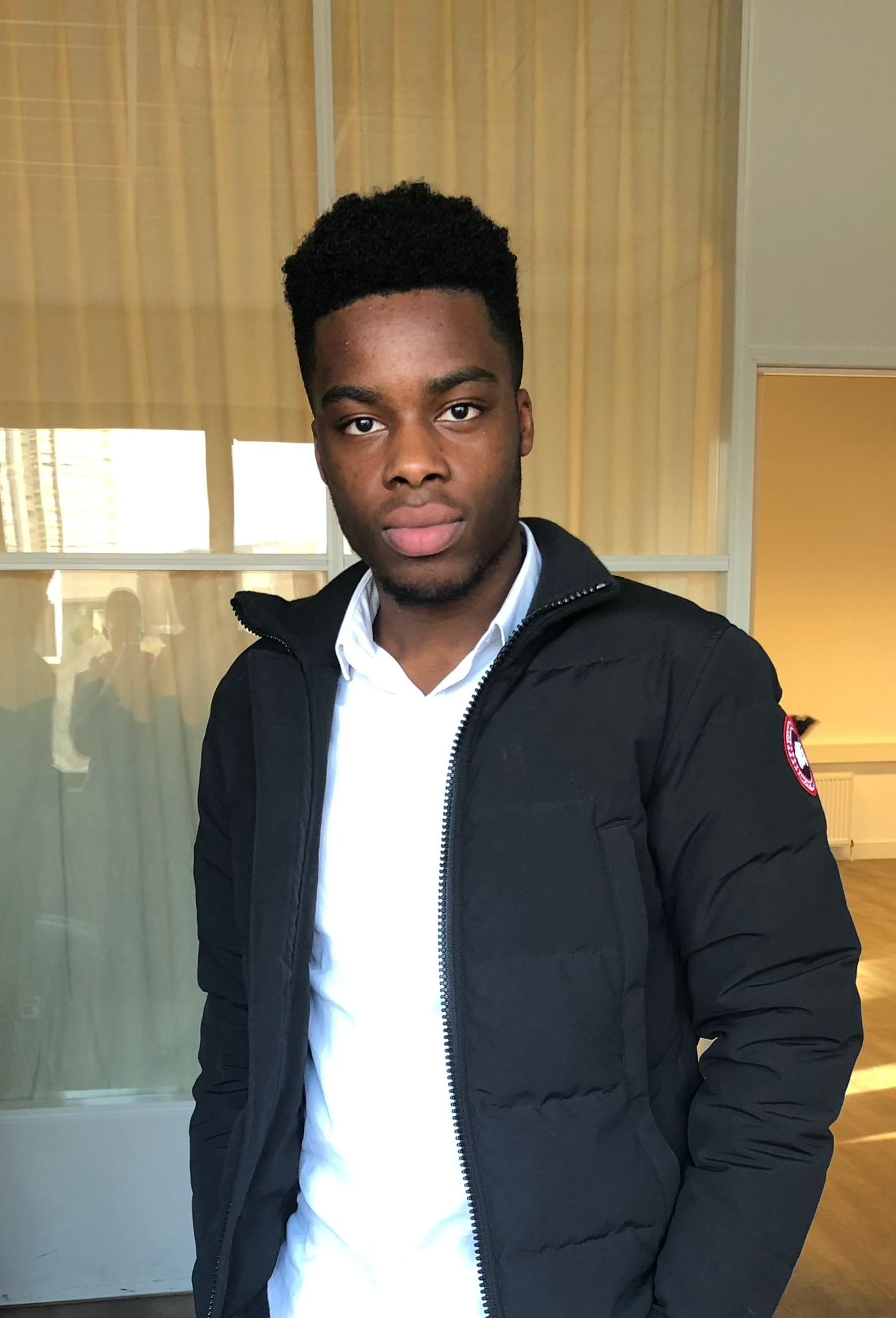 Close-up of a tree stump showing growth rings and a textured brown wood surface.