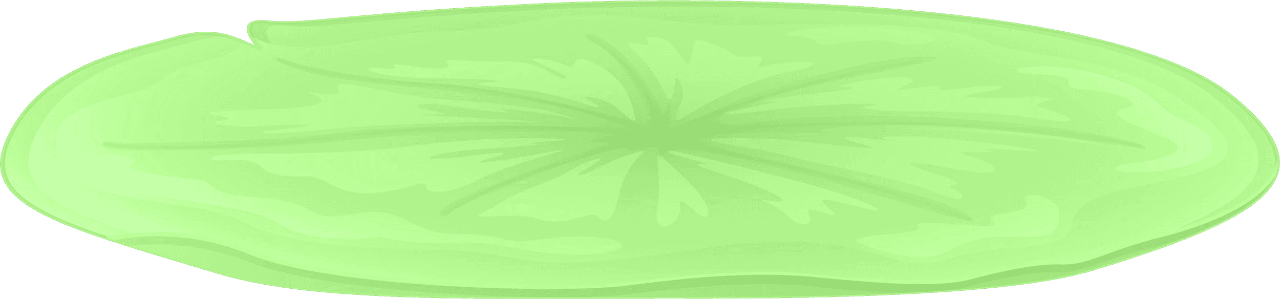 Lily Pad