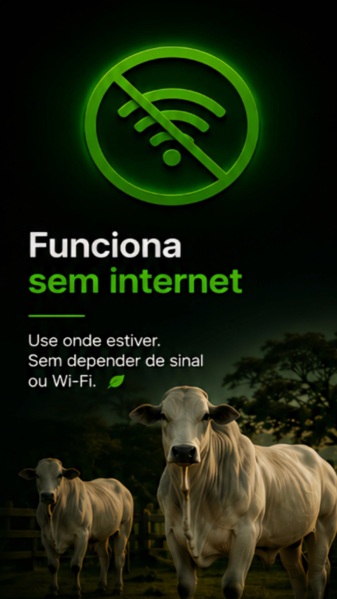 Tela do app