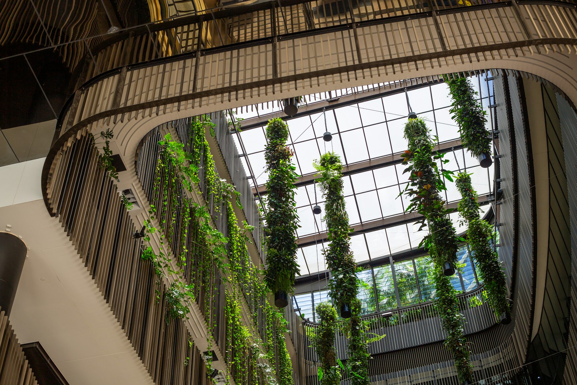 Interior atrium with hanging plants and skylight