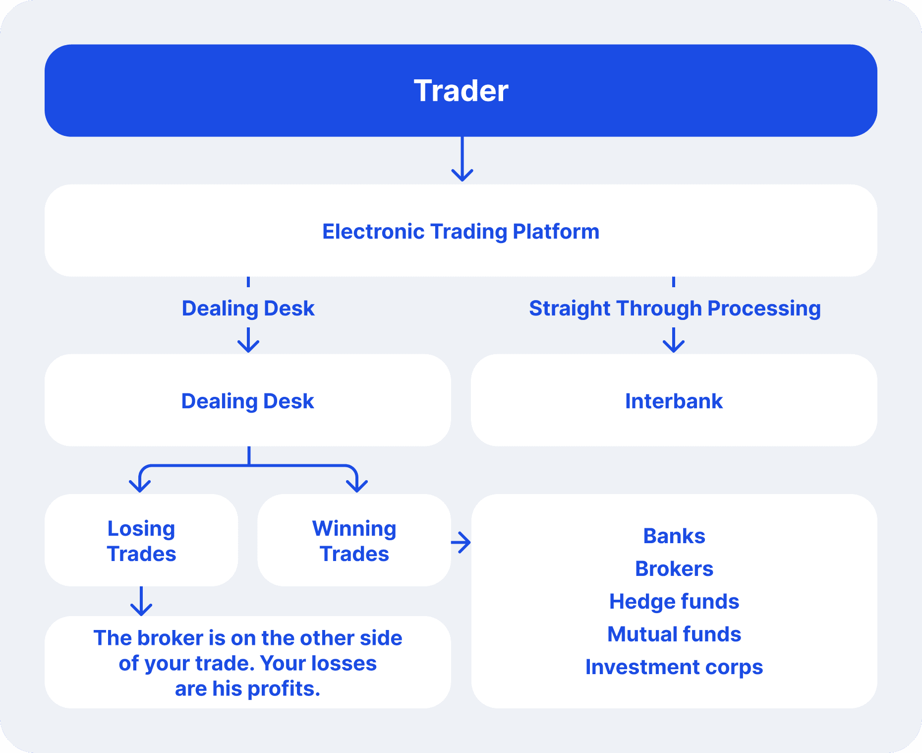 true ecn broker