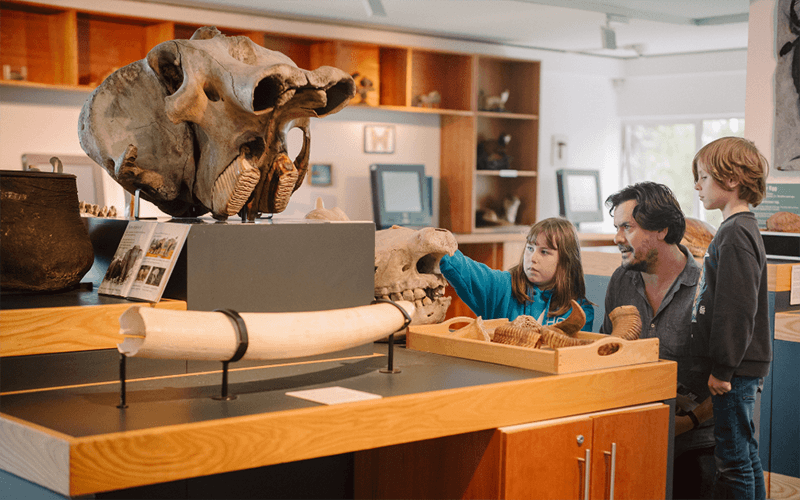 Ulster Museum