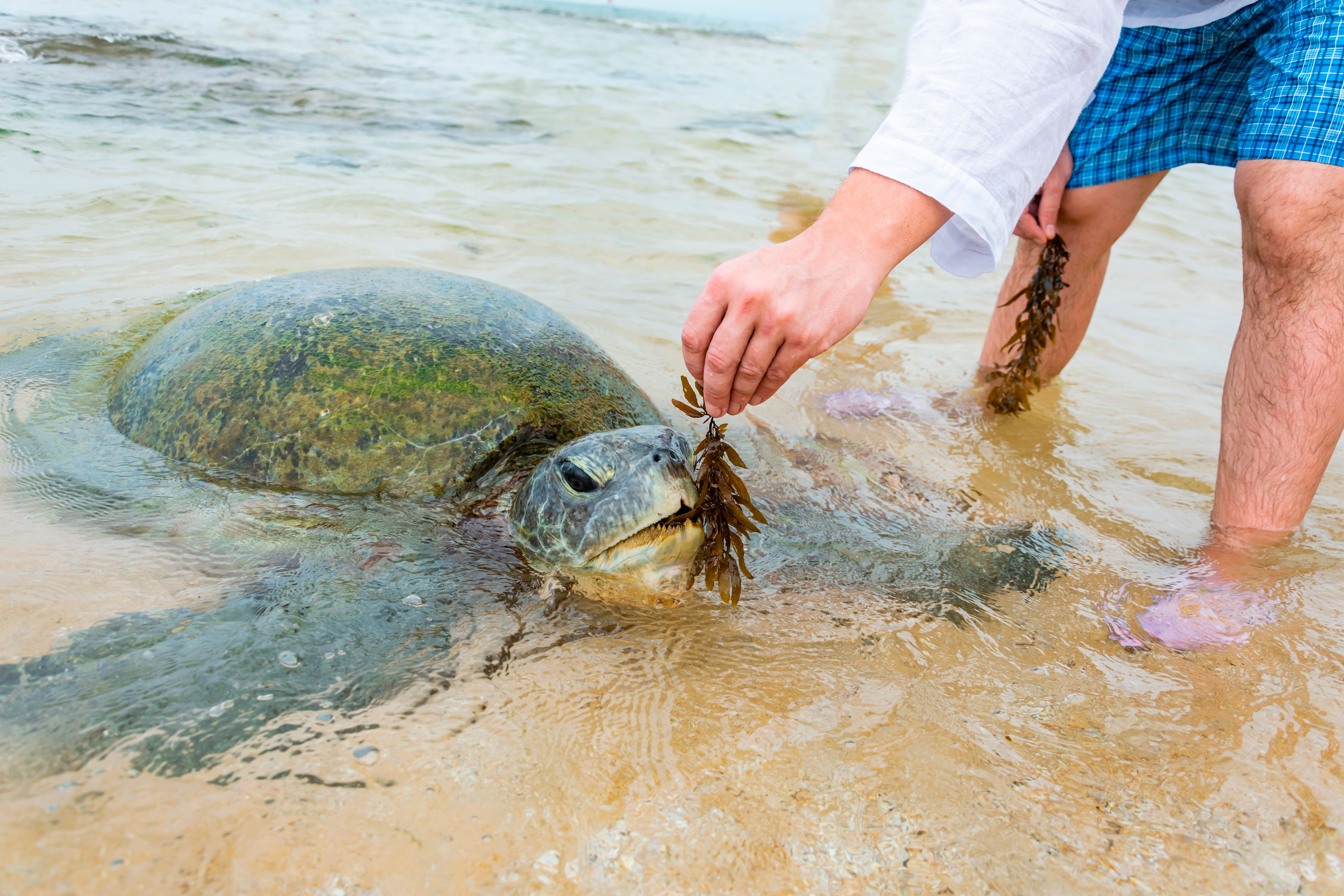 tent at the field during night