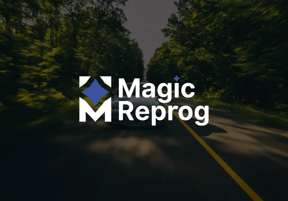Image avec logo Magic Reprog