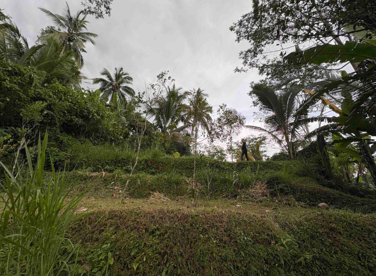 Land plot 4,000 m² in Buahan, Ubud area, Leasehold