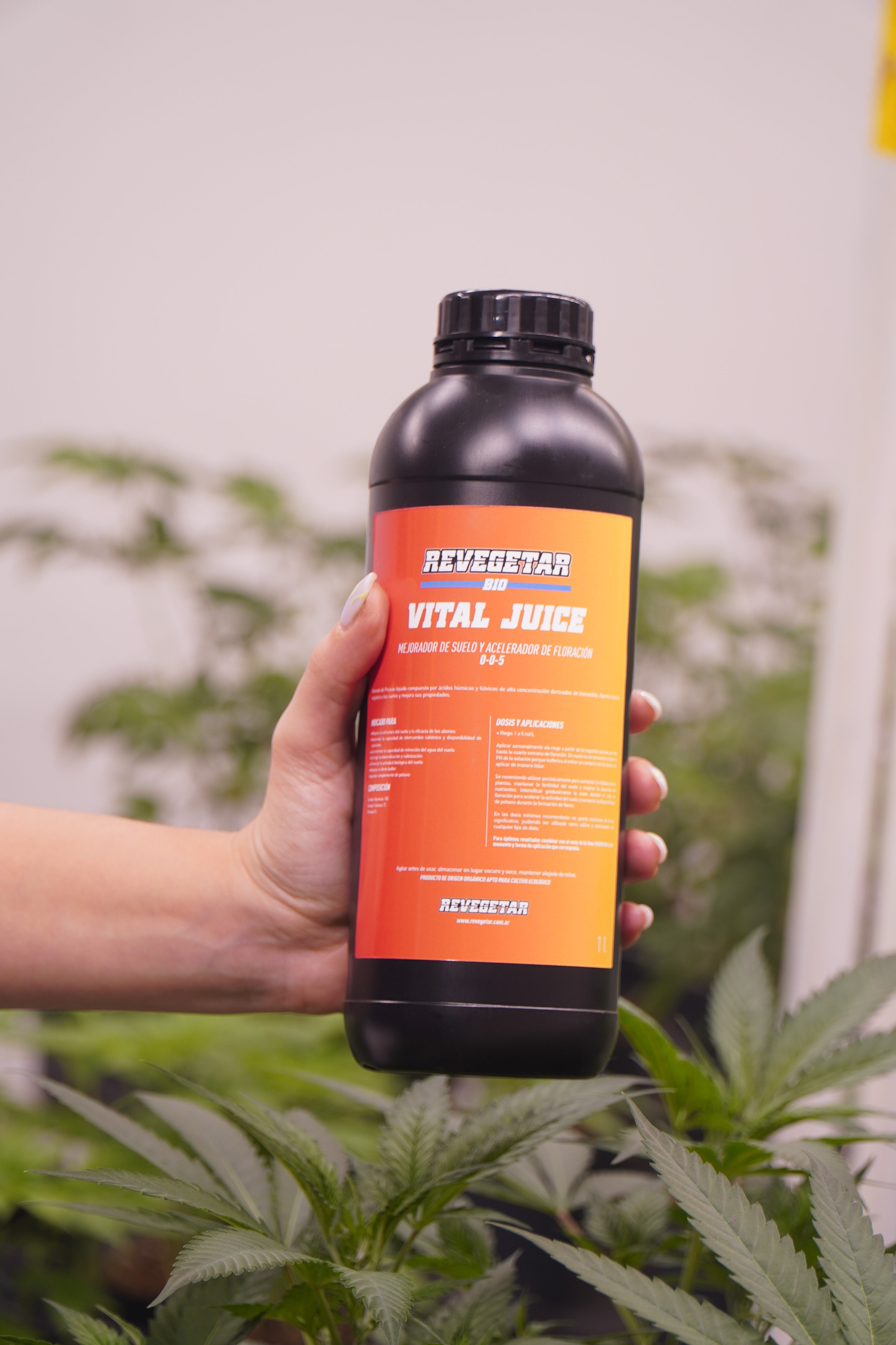 Vital Juice Revegetar