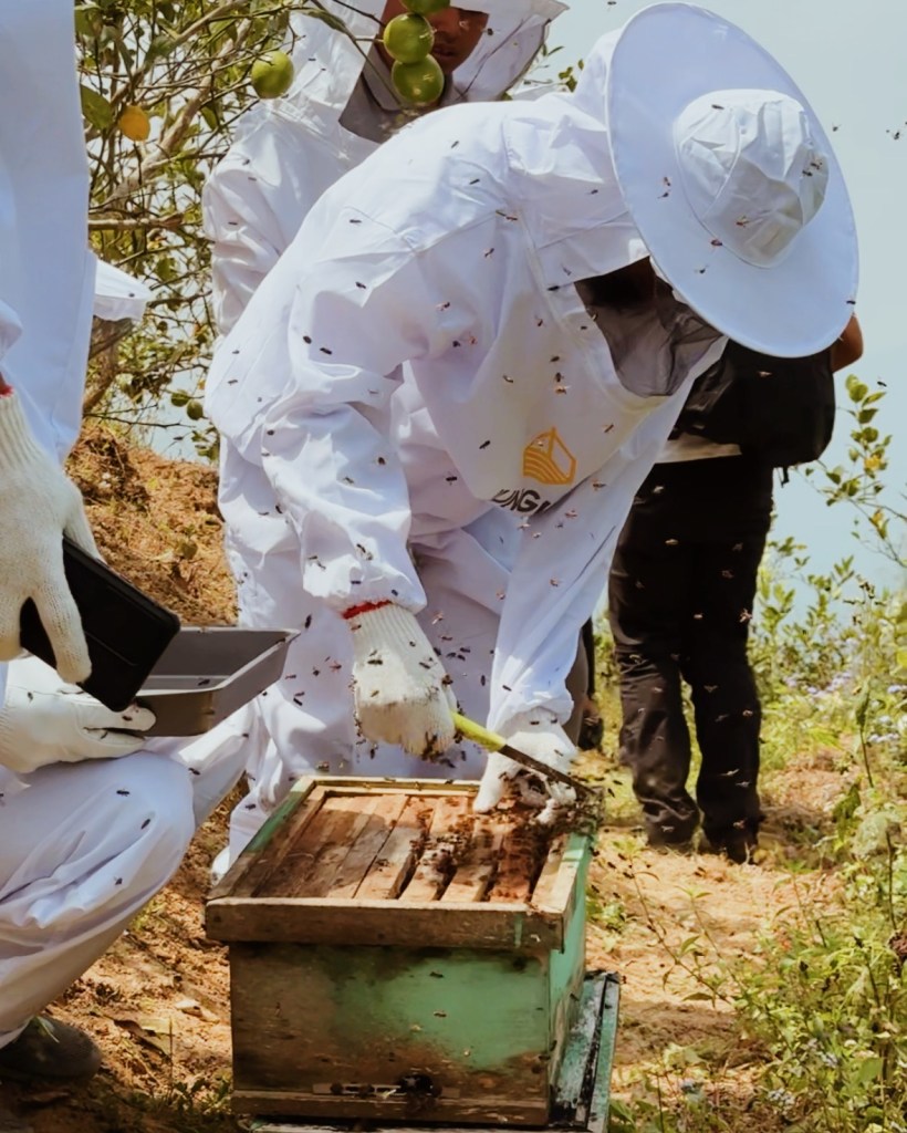 A beekeeper in a protective suit inspects a beehive outdoors, with bees flying around. The scene shows several people in similar attire observing the process.
