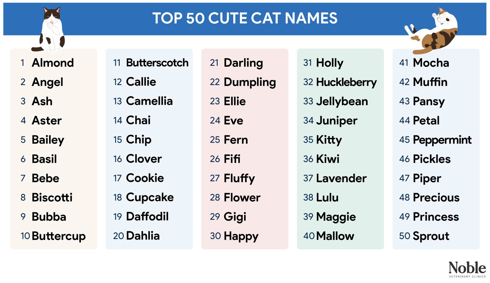 Top 50 cute cat names for your kitty.