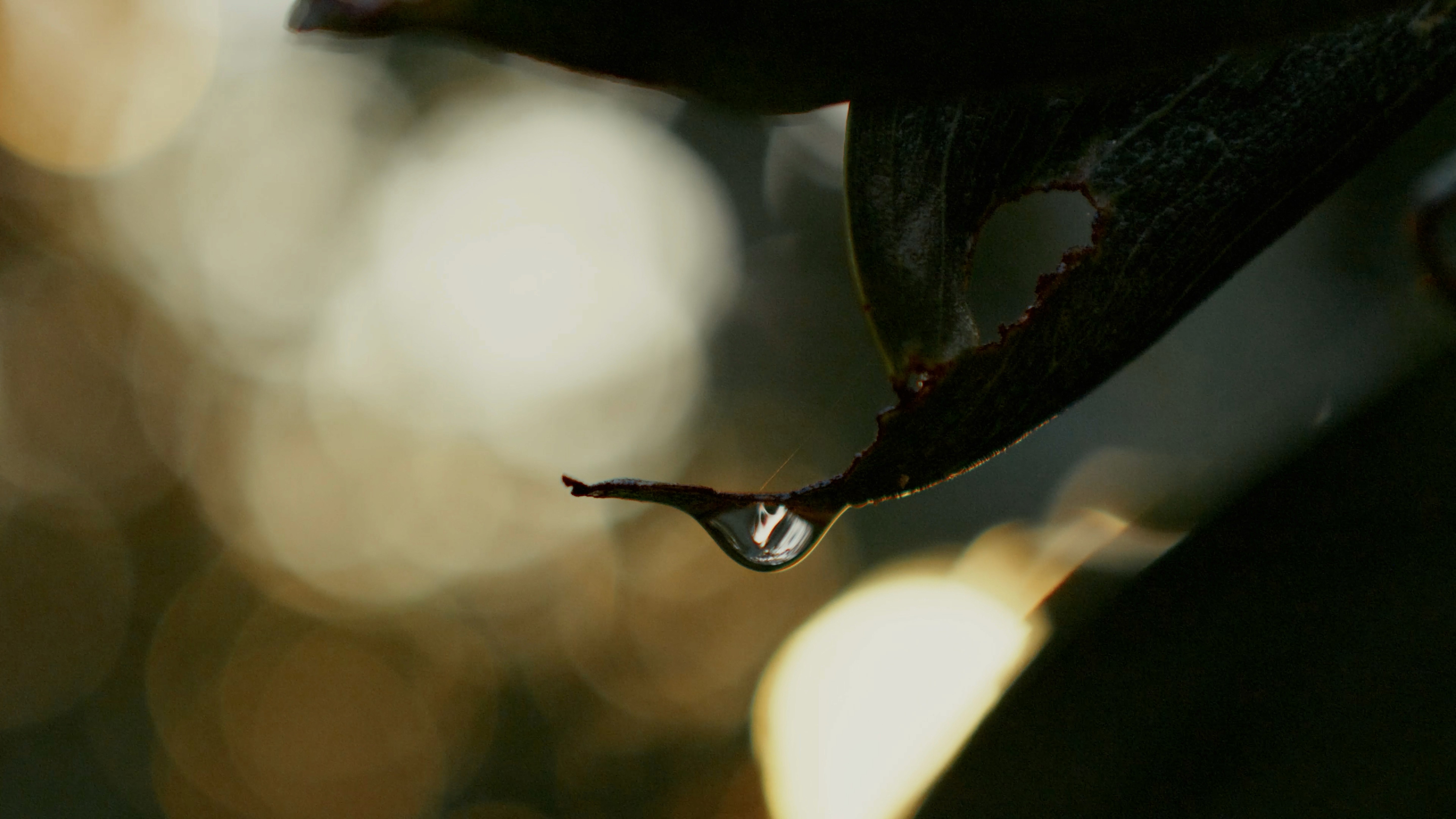 Streetside billboard with flyposters of the Batch.Works brand and illustrations